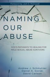 Naming Our Abuse: God's Pathways to Healing for Male Sexual Abuse Survivors by Andrew Schmutzer Paperback Book