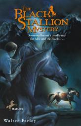 The Black Stallion Mystery by Walter Farley Paperback Book