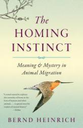 The Homing Instinct: Meaning and Mystery in Animal Migration by Bernd Heinrich Paperback Book