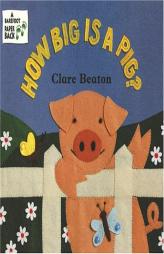 How Big Is a Pig? by Stella Blackstone Paperback Book