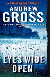 Eyes Wide Open (Ty Hauck) by Andrew Gross Paperback Book