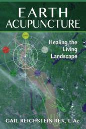 Earth Acupuncture: Healing the Living Landscape by Gail Reichstein Rex Paperback Book