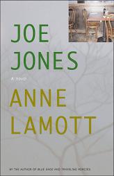 Joe Jones by Anne Lamott Paperback Book