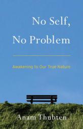 No Self, No Problem by Anam Thubten Paperback Book
