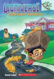 Looniverse #2: Meltdown Madness (a Branches Book) by David Lubar Paperback Book
