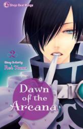 Dawn of the Arcana, Vol. 2 by Rei Toma Paperback Book