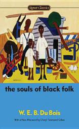 The Souls of Black Folk by Randall Kenan Paperback Book