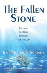 The Fallen Stone: Purpose is often found at rock bottom by Terri McFaddin-Solomon Paperback Book