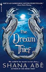 The Dream Thief by Shana Abe Paperback Book