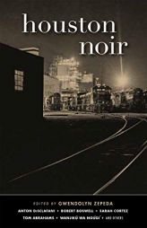 Houston Noir by  Paperback Book