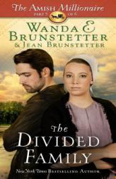 The Divided Family: The Amish Millionaire Part 5 by Wanda E. Brunstetter Paperback Book