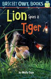 Lion Spies a Tiger: Long vowel i (Bright Owl Books) by Molly Coxe Paperback Book