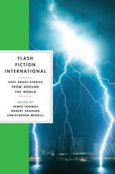 Flash Fiction International: Very Short Stories from Around the World by Robert Shapard Paperback Book