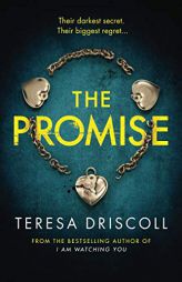 The Promise by Teresa Driscoll Paperback Book