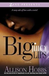 Big Juicy Lips: Double Dippin' 2 (Double Dippin') by Allison Hobbs Paperback Book