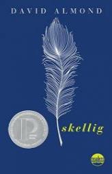 Skellig by David Almond Paperback Book