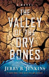 The Valley of Dry Bones: A Novel by Jerry B. Jenkins Paperback Book