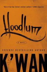 Hoodlum by K'Wan Paperback Book
