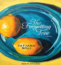 The Forgetting Tree by Tatjana Soli Paperback Book
