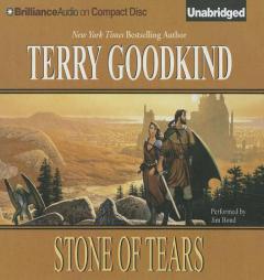 Stone of Tears (Sword of Truth Series) by Terry Goodkind Paperback Book