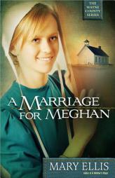 A Marriage for Meghan (The Wayne County Series) by Mary Ellis Paperback Book