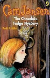 Cam Jansen 14 Chocolate Fudge Mystery by David A. Adler Paperback Book