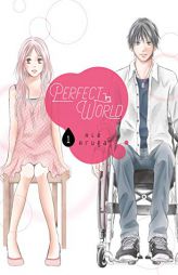 Perfect World 1 by Rie Aruga Paperback Book