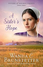 A Sister's Hope (Sisters of Holmes County, 3) by Wanda E. Brunstetter Paperback Book