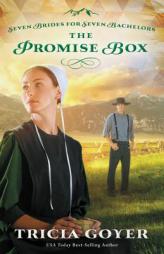 The Promise Box by Tricia Goyer Paperback Book