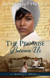 The Promise Between Us: Mammy's Story (Novella to A Slave of the Shadows) by Naomi Finley Paperback Book