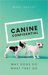 Canine Confidential: Why Dogs Do What They Do by Marc Bekoff Paperback Book