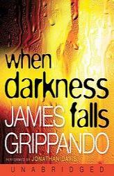 When Darkness Falls by James Grippando Paperback Book