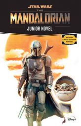 Star Wars: The Mandalorian Junior Novel by Joe Schreiber Paperback Book