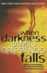 When Darkness Falls (Swyteck) by James Grippando Paperback Book