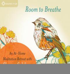 Room to Breathe: An At-Home Meditation Retreat with Sharon Salzberg by Sharon Salzberg Paperback Book