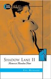 Shadow Lane II: Return to Random Point (Shadow Lane) by Eve Howard Paperback Book