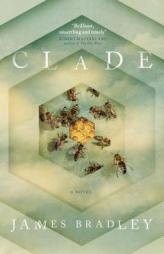 Clade by James Bradley Paperback Book