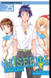 Nisekoi: False Love, Vol. 25 by Naoshi Komi Paperback Book