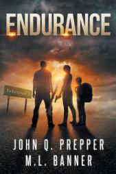 Endurance: A Post-Apocalyptic Thriller (Highway) (Volume 2) by M. L. Banner Paperback Book