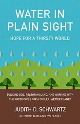 Water in Plain Sight: Hope for a Thirsty World by Judith Schwartz Paperback Book