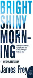 Bright Shiny Morning by James Frey Paperback Book