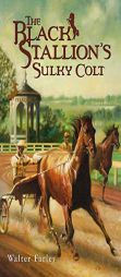 The Black Stallion's Sulky Colt by Walter Farley Paperback Book