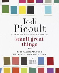 Small Great Things: A Novel by Jodi Picoult Paperback Book