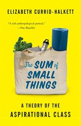 The Sum of Small Things: A Theory of the Aspirational Class by Elizabeth Currid-Halkett Paperback Book