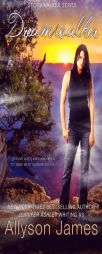 Dreamwalker (Stormwalker) (Volume 5) by Allyson James Paperback Book