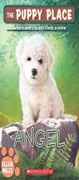 Angel (the Puppy Place #46) by Ellen Miles Paperback Book