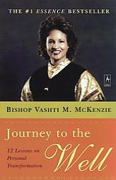 Journey to the Well by Vashti M. McKenzie Paperback Book
