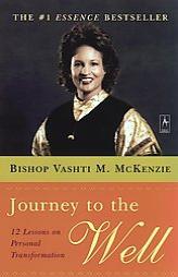 Journey to the Well by Vashti M. McKenzie Paperback Book