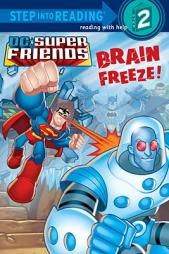 DC Super Friends: Brain Freeze! by J. E. Bright Paperback Book