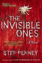 The Invisible Ones by Stef Penney Paperback Book